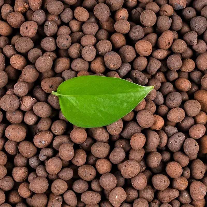 Clay Pebble Growing - 1LB Reusable Hydroponic Clay Pebbles Natural