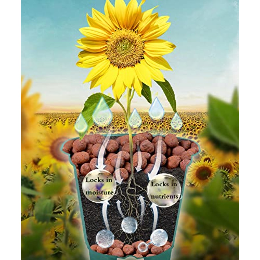 Voulosimi Clay Pebbles Hydropo - огляд і ціна Clay Pebble Growing