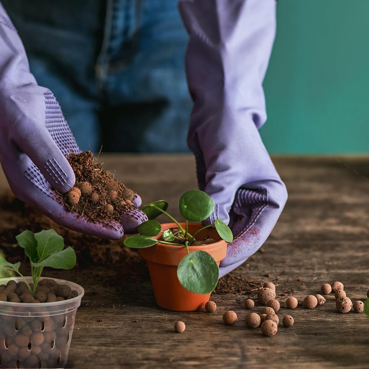 2L/1L Organic Clay Balls, Flow - огляд і ціна Clay Pebble Growing