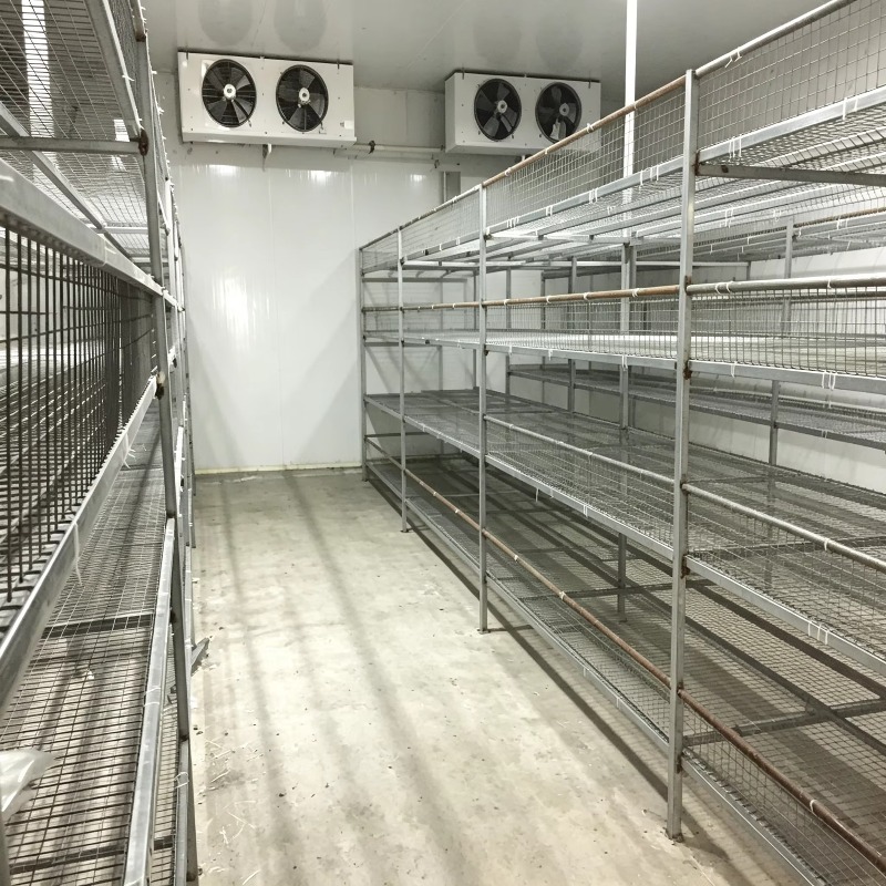 Hydroponic Container Farm with - огляд і ціна Urban Farming Indoor